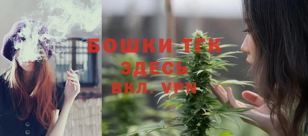эйфоретик Осташков