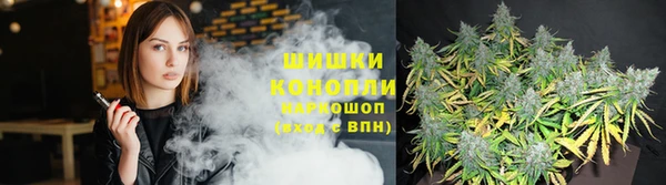 винт Армянск