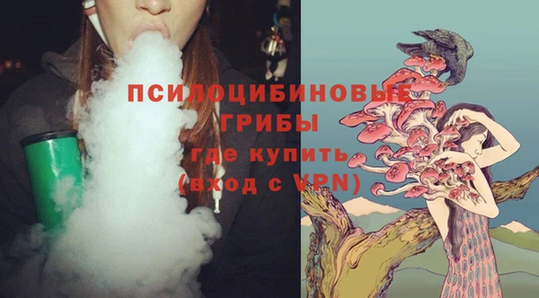 винт Армянск